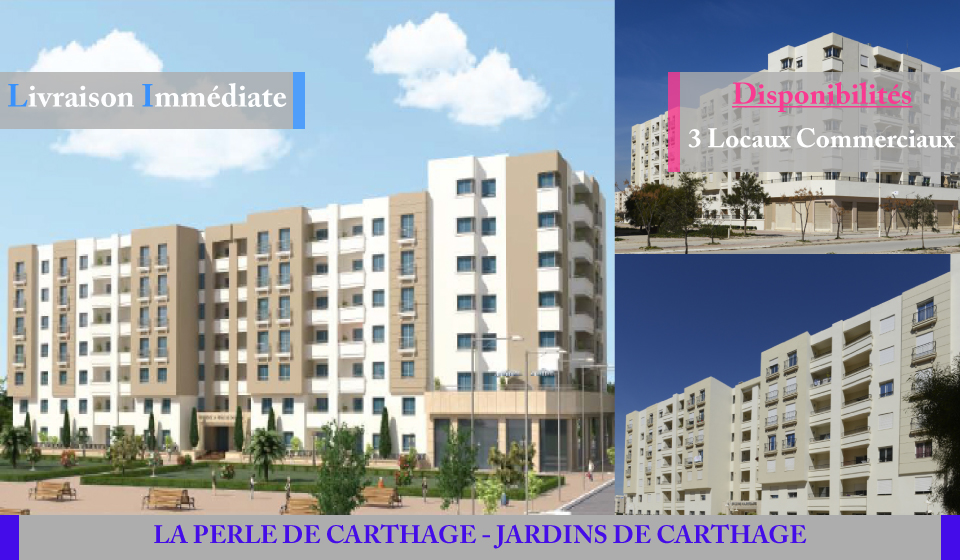 LA PERLE DE CARTHAGE