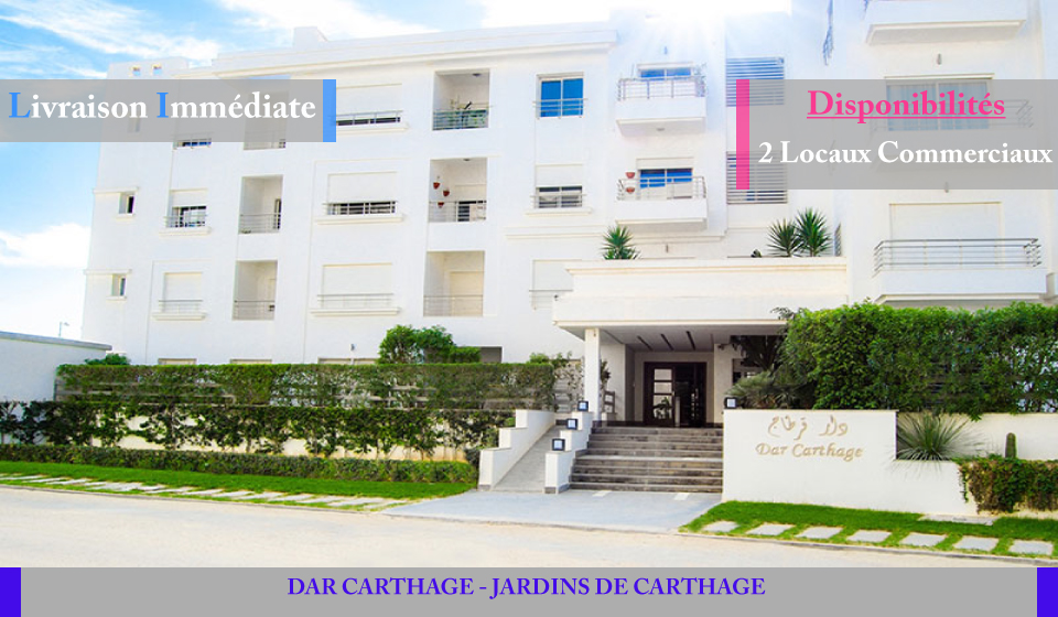DAR CARTHAGE - Image principale