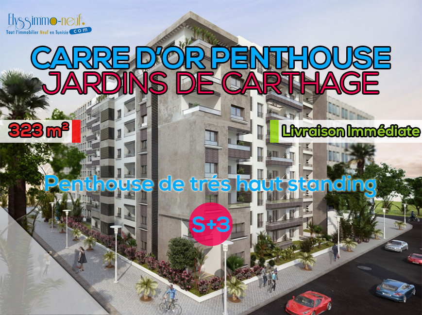 CARRE D'OR PENTHOUSE